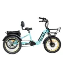 20-Inch Foldable Fat-Tire Electric Trike — 48V/14Ah Battery, 750W Motor, 330-Pound Weight Capacity