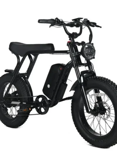 Adult Electric Mountain Bike — 1000W Motor, 48V 20Ah Removable Battery, 20″x4.0 Fat Tires, 45 MPH Top Speed, Shimano 7-Speed