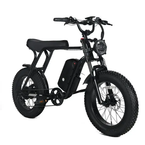 Adult Electric Mountain Bike — 1000W Motor, 48V 20Ah Removable Battery, 20″x4.0 Fat Tires, 45 MPH Top Speed, Shimano 7-Speed