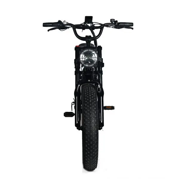 Adult Electric Mountain Bike — 1000W Motor, 48V 20Ah Removable Battery, 20″x4.0 Fat Tires, 45 MPH Top Speed, Shimano 7-Speed - Image 2