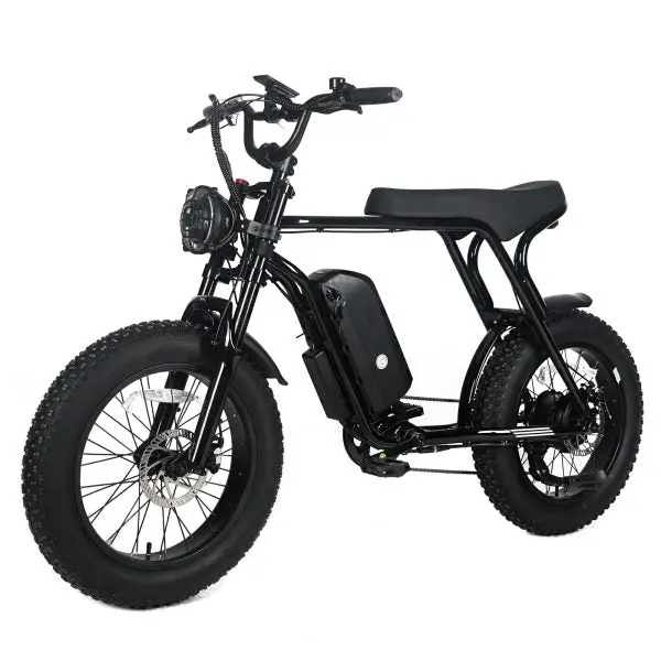 Adult Electric Mountain Bike — 1000W Motor, 48V 20Ah Removable Battery, 20″x4.0 Fat Tires, 45 MPH Top Speed, Shimano 7-Speed - Image 3