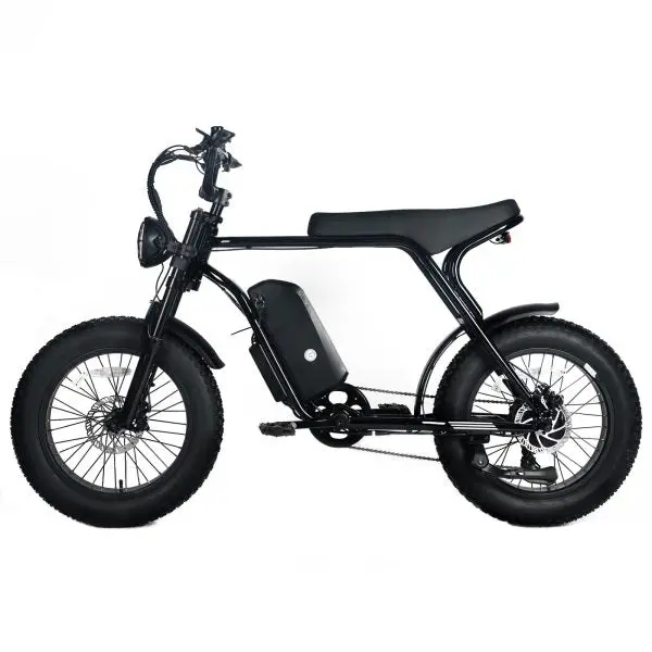 Adult Electric Mountain Bike — 1000W Motor, 48V 20Ah Removable Battery, 20″x4.0 Fat Tires, 45 MPH Top Speed, Shimano 7-Speed - Image 4