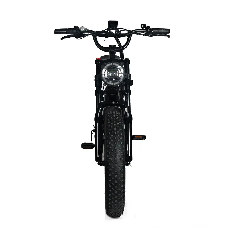 Adult Electric Mountain Bike — 1000W Motor, 48V 20Ah Removable Battery, 20″x4.0 Fat Tires, 45 MPH Top Speed, Shimano 7-Speed - Image 7
