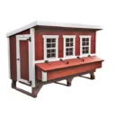Extra-Large Chicken Coop — Spacious Backyard Poultry Housing