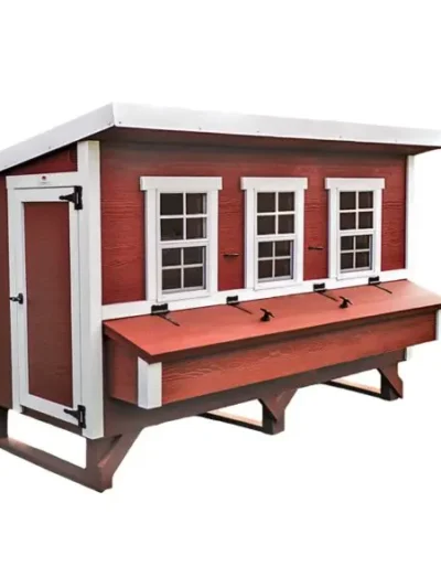 Extra-Large Chicken Coop — Spacious Backyard Poultry Housing
