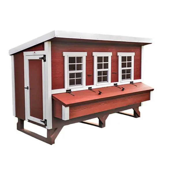 Extra-Large Chicken Coop — Spacious Backyard Poultry Housing