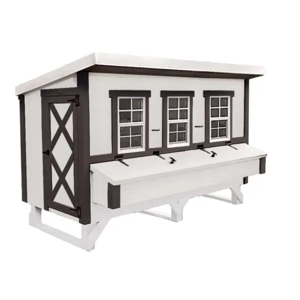 Extra-Large Chicken Coop — Spacious Backyard Poultry Housing - Image 2