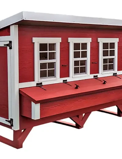 Large Chicken Coop Housing Up to 20 Birds