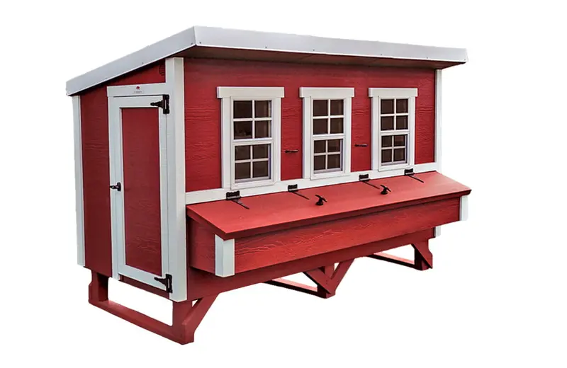 Large Chicken Coop Housing Up to 20 Birds